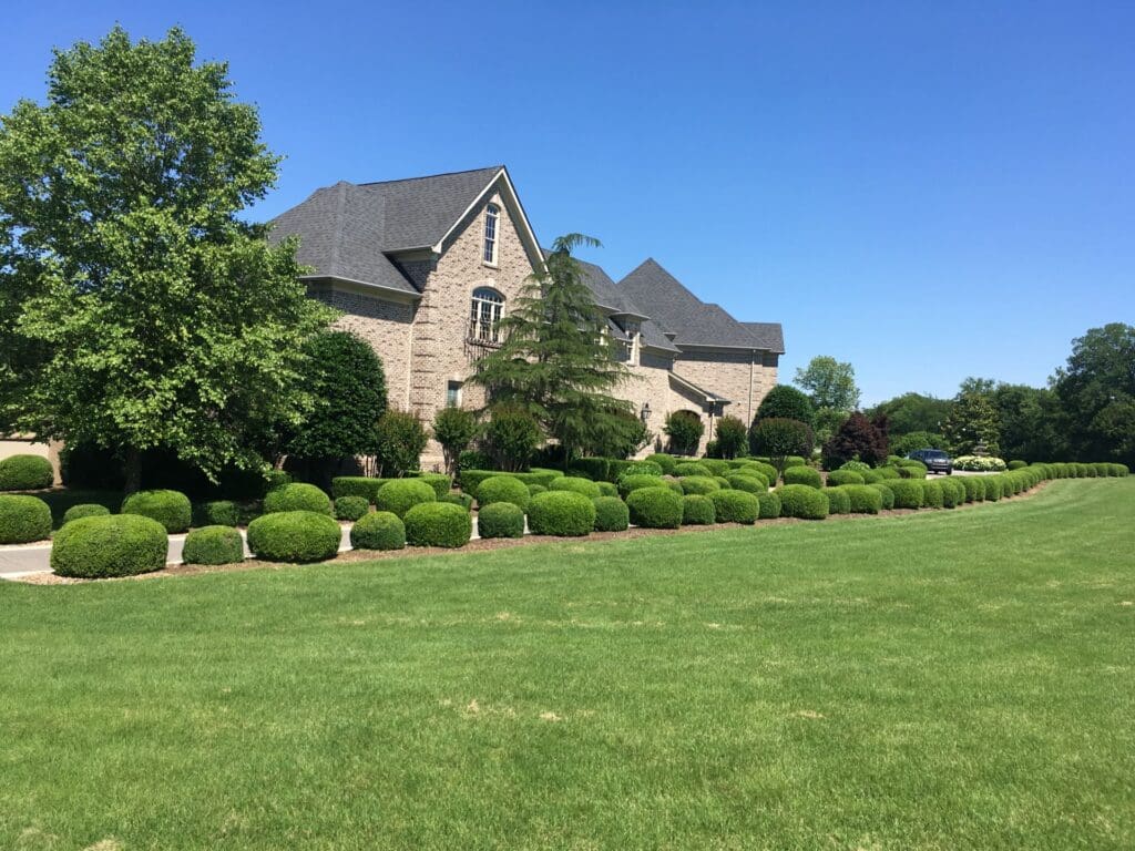 GROUNDSCARE estate garden care